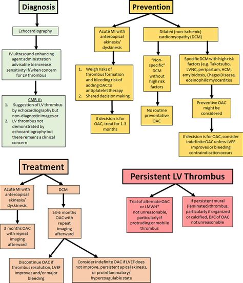 lv apical thrombus treatment|best anticoagulation for Lv thrombus.